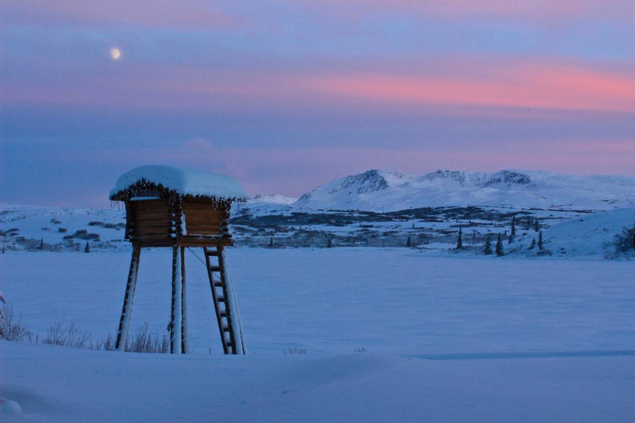 Caribou Lodge Alaska Talkeetna Exterior foto